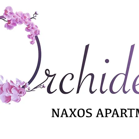 Apartment Orchidea Naxos Naxos City