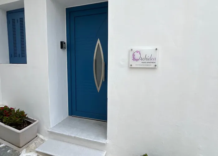 Orchidea Naxos Naxos City